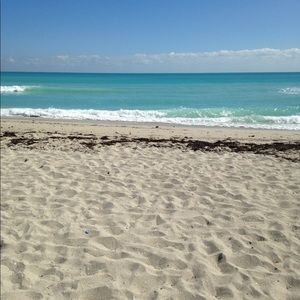 Meet your Posher, Little Lobster Luxuries